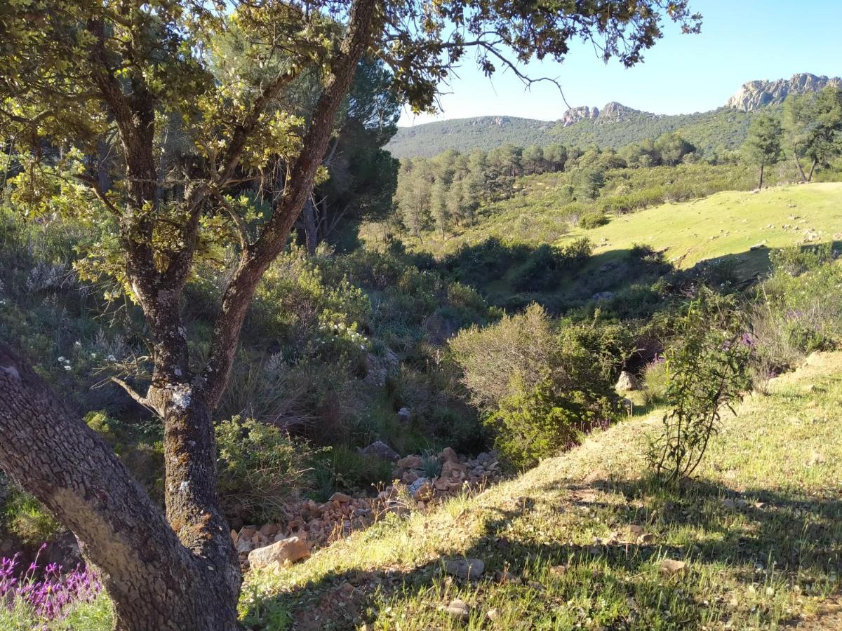 La Romera Villanueva del Duque Buitenkant foto